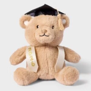 6'' Grad Bear Stuffed Animal - Gigglescape